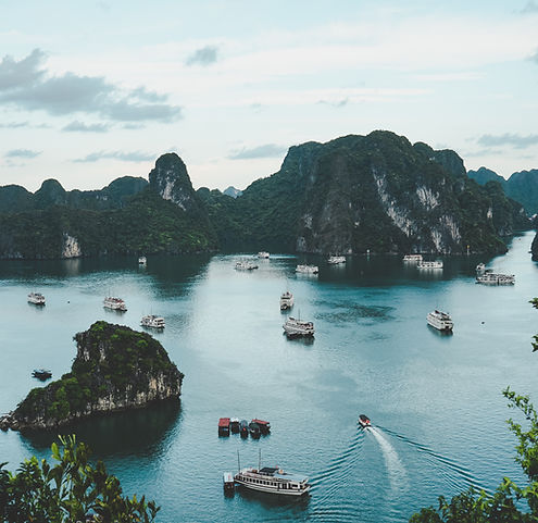 Regulatory Affairs Vietnam